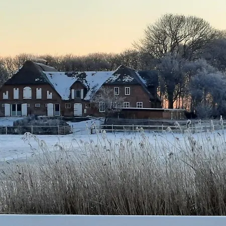 Clara Hof Doettgebuell *